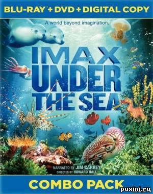 На глубине морской / IMAX Under the Sea (2009/BDRip/1080p)